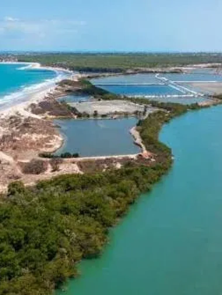 Aerial view of the Piranji river and its mangroves near Parajuru